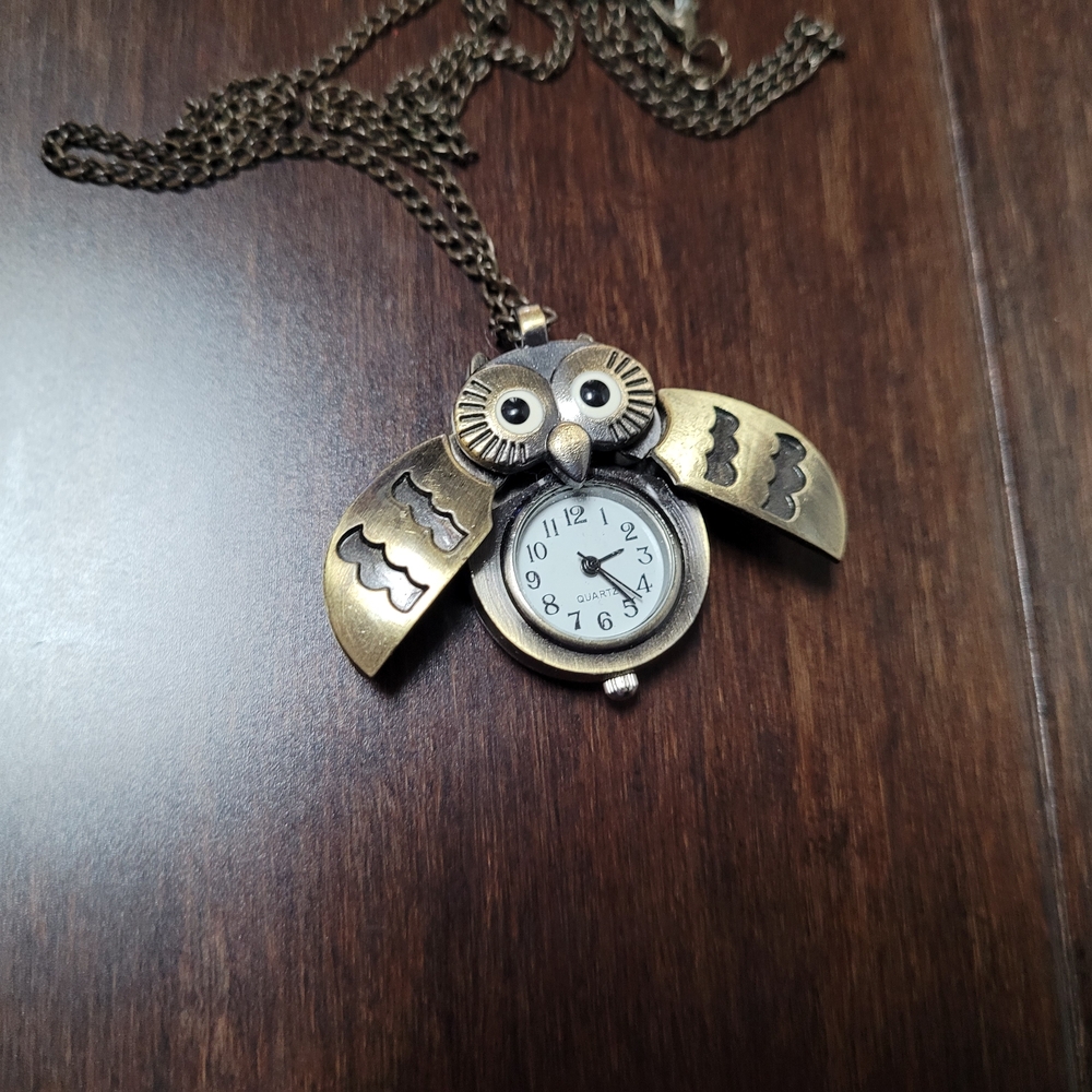Antique Bronze Owl Necklace with Clock